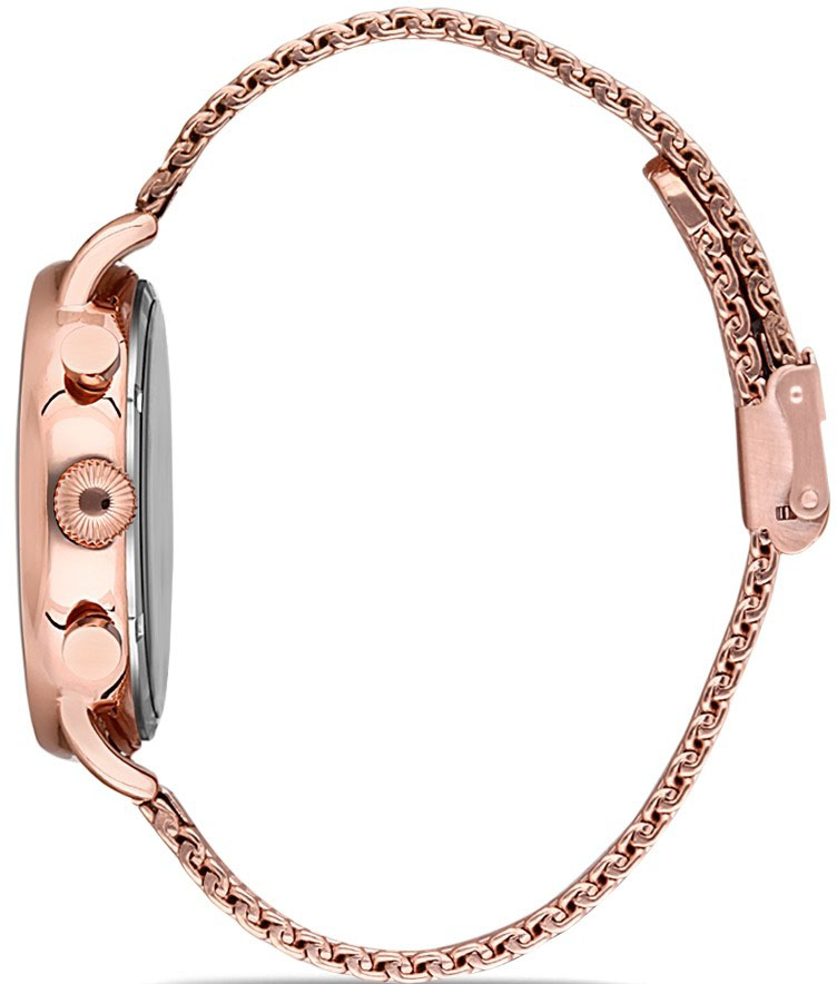 Momentus CC112R-02SR