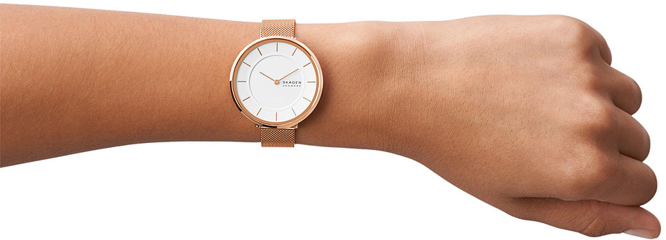 Skagen SKW3013