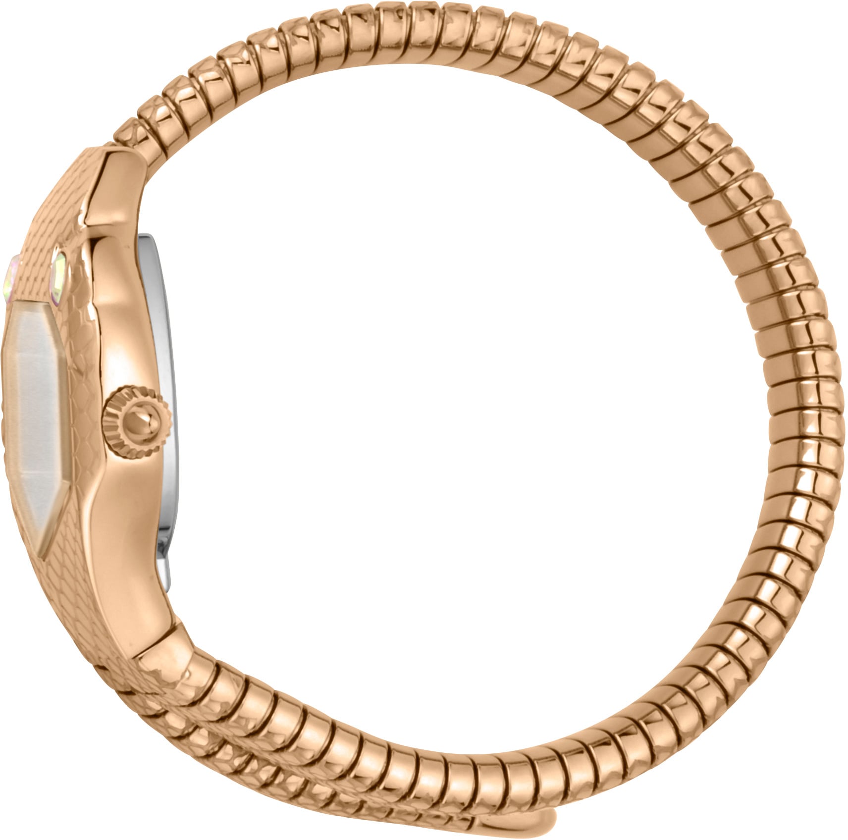 Just Cavalli JC1L177M0045