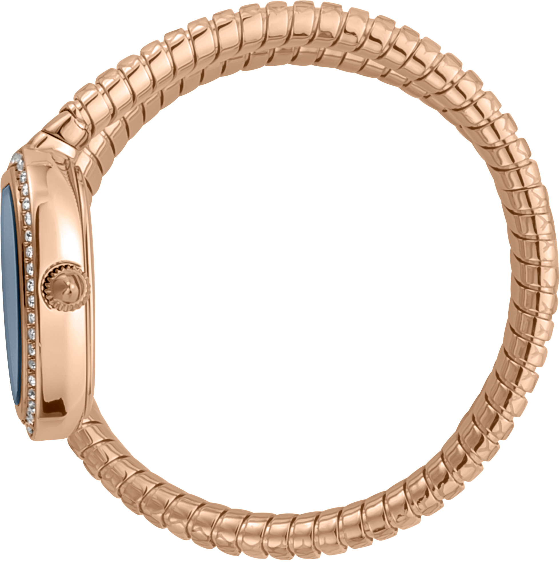 Just Cavalli JC1L167M0045