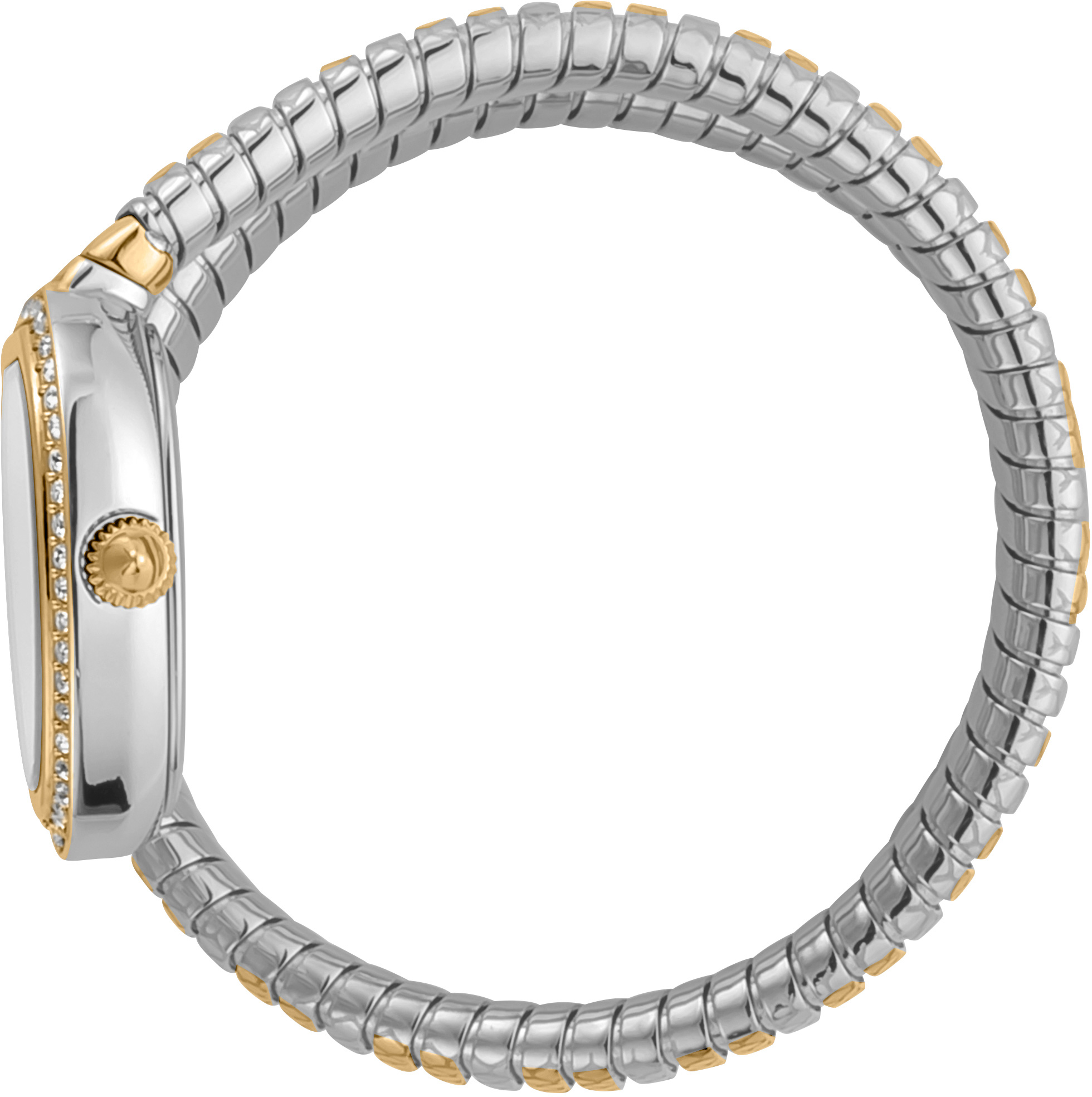 Just Cavalli JC1L167M0055