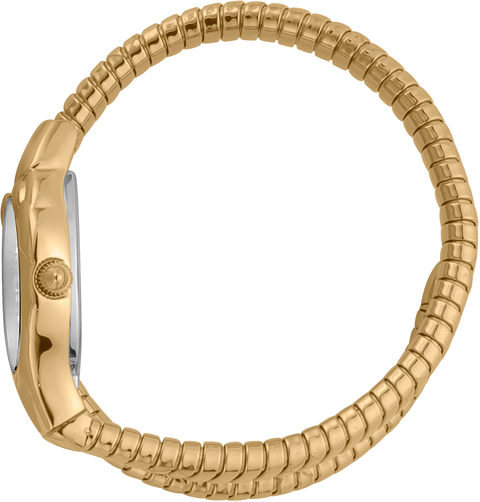 Just Cavalli JC1L186M0035