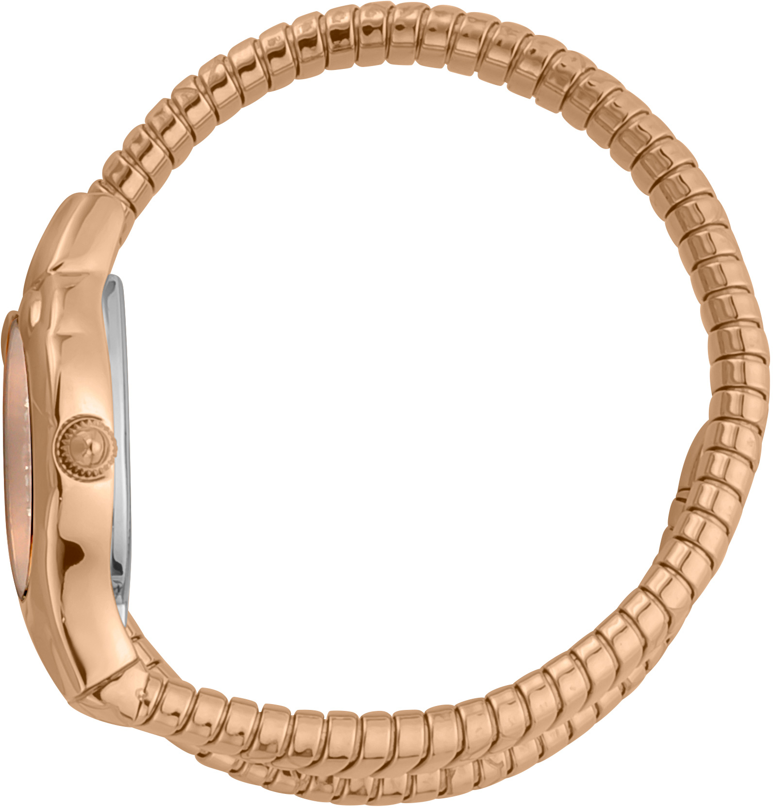 Just Cavalli JC1L186M0045