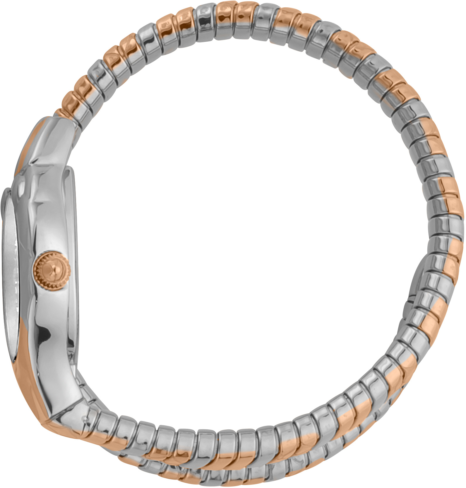 Just Cavalli JC1L186M0065