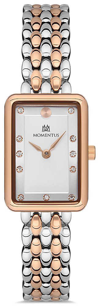 Momentus SW273T-02SR