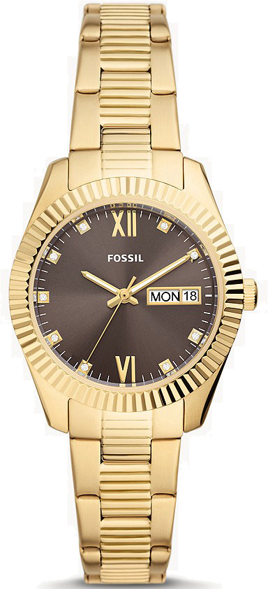 Fossil ES5206