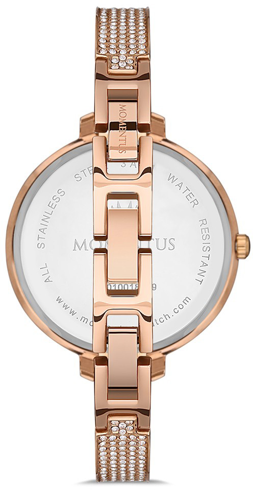 Momentus SS231T-02SR