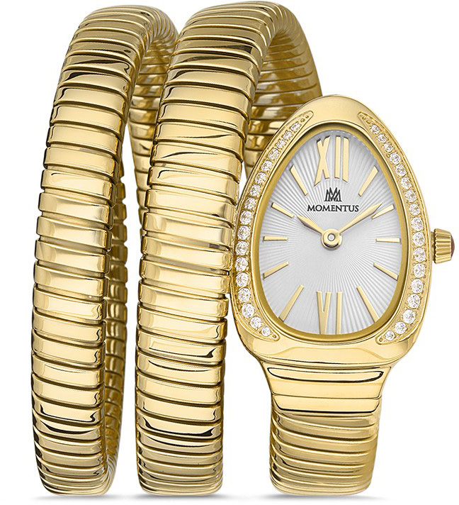 Momentus SS256G-02SG