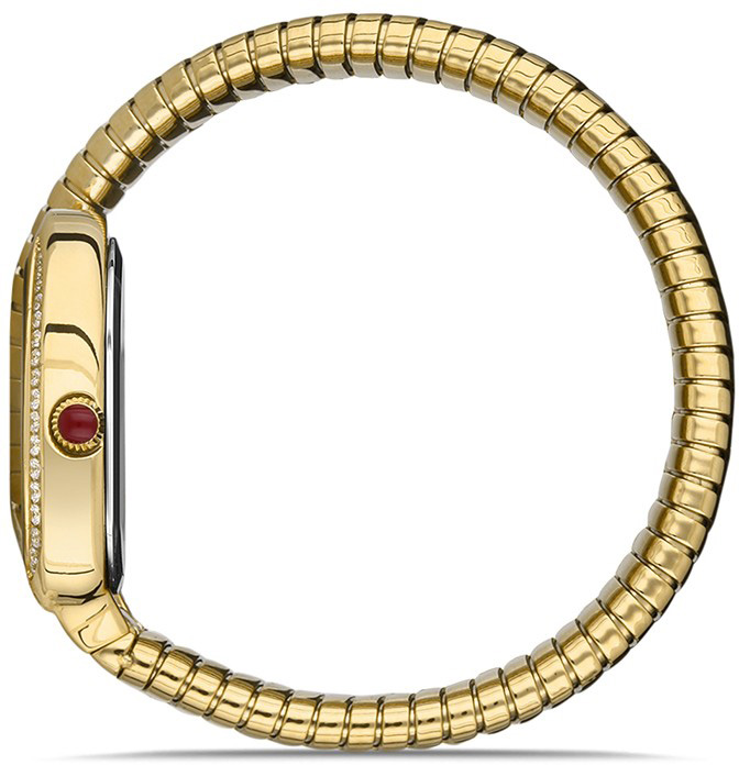 Momentus SS256G-02SG