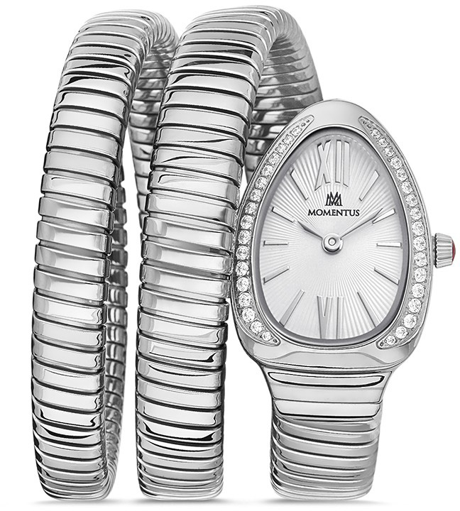 Momentus SS256S-02SS