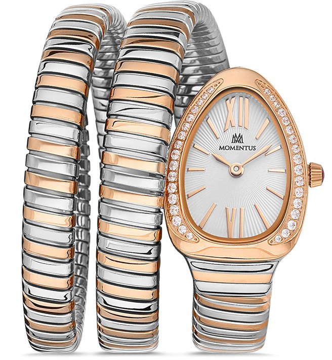 Momentus SS256T-02SR