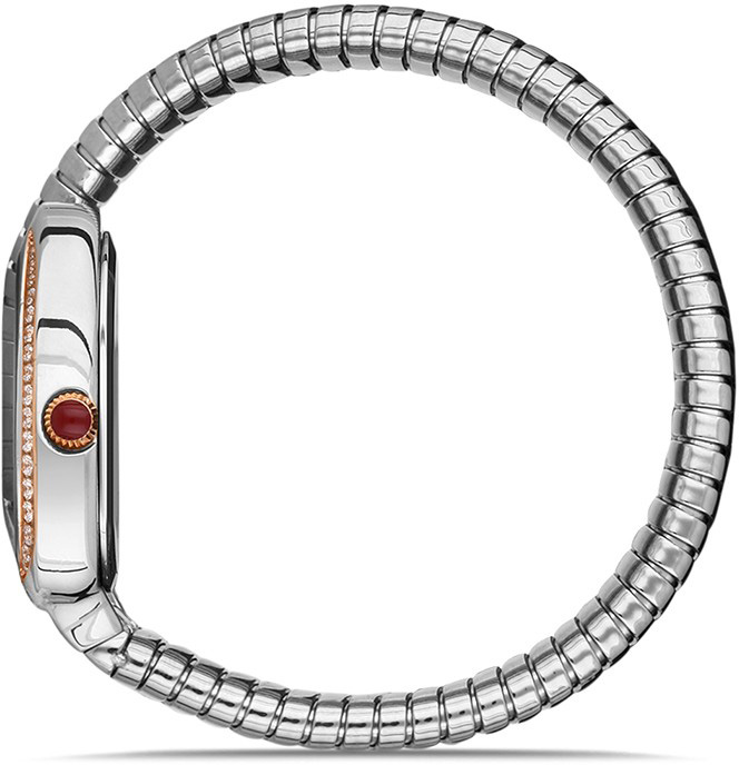 Momentus SS256T-02SR