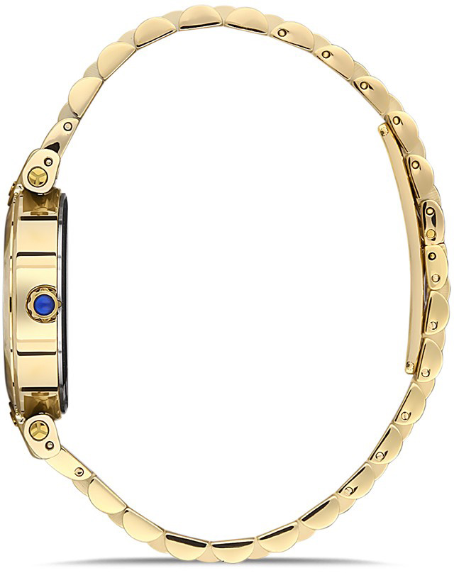 Momentus CS381G-02SG