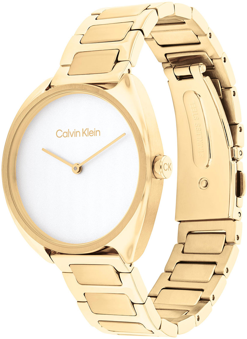 Calvin Klein CK25200276