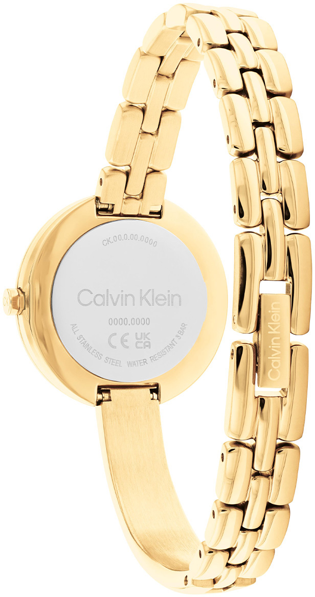 Calvin Klein CK25200279