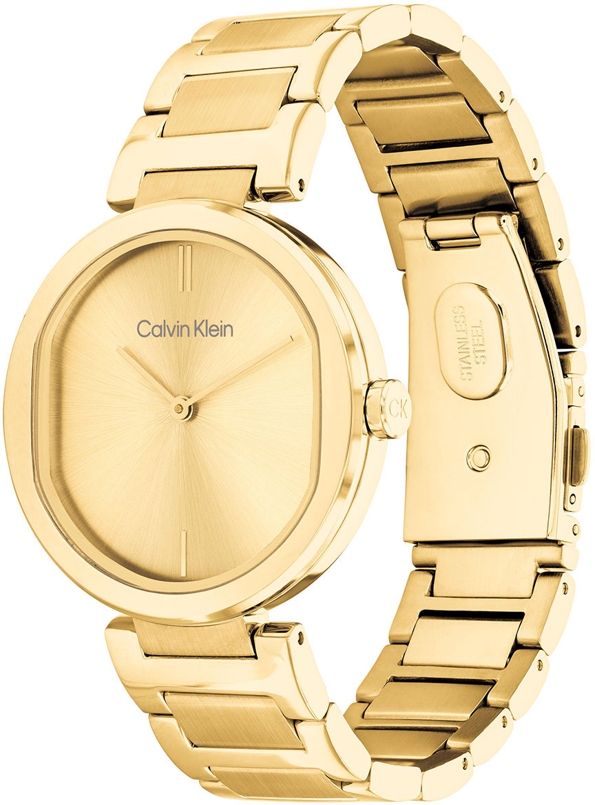 Calvin Klein CK25200252