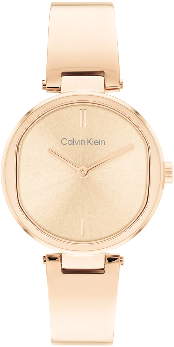 Calvin Klein CK25200308