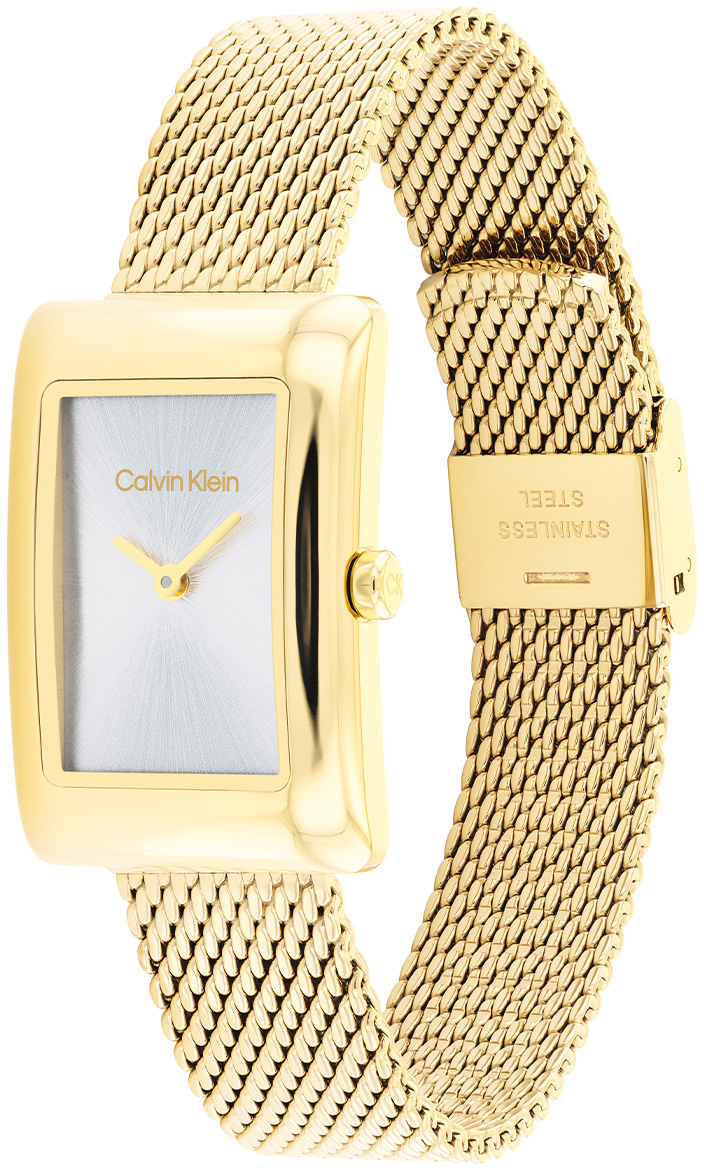 Calvin Klein CK25200396