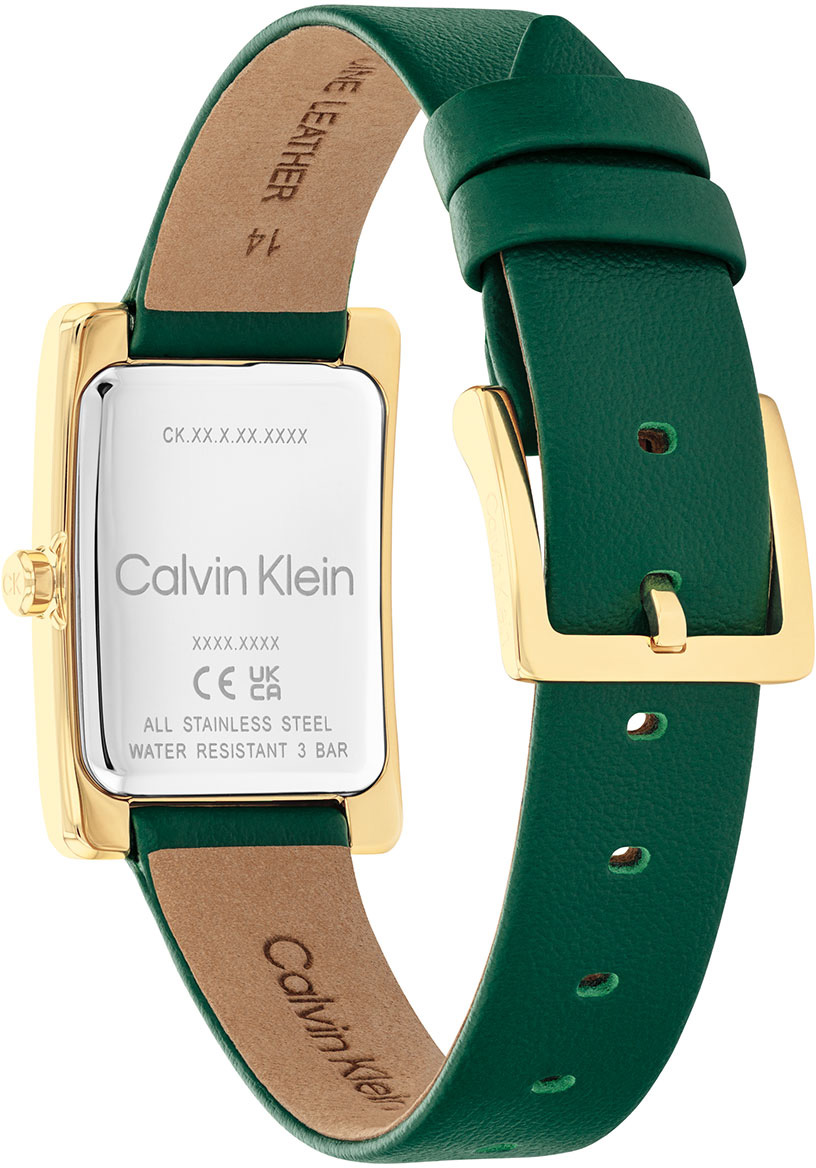 Calvin Klein CK25200397