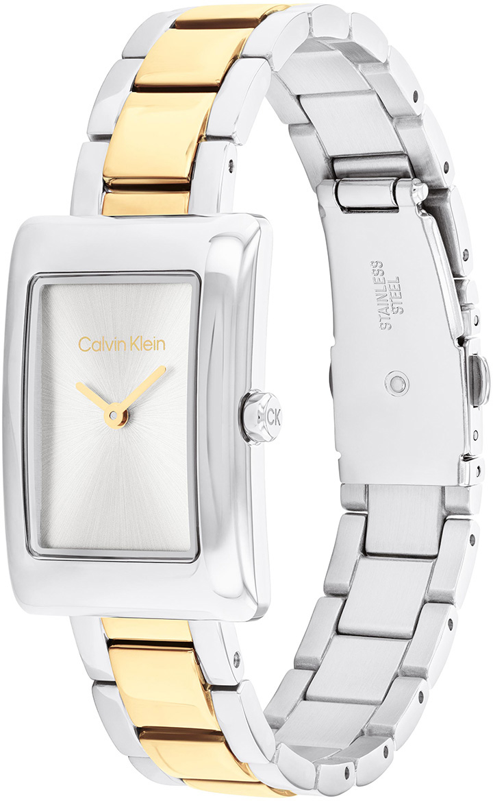 Calvin Klein CK25200420