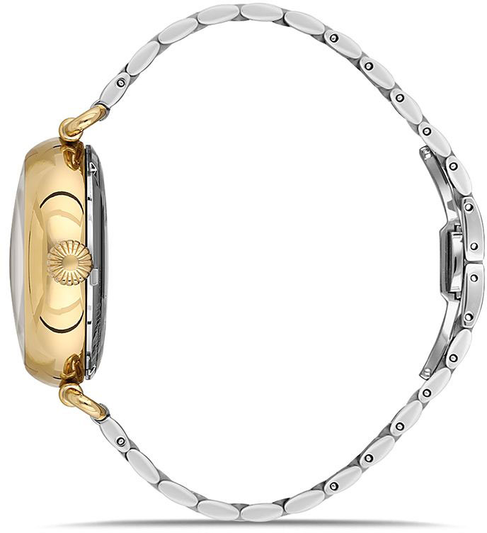 Momentus TC271G-16TG