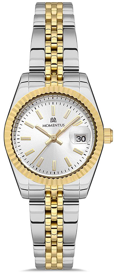 Momentus CS384T-02SG